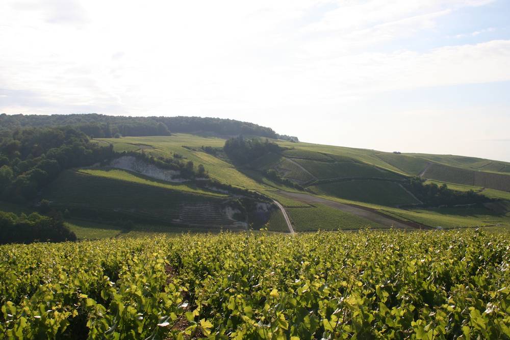 CHAMPAGNE GEOFFROY 12